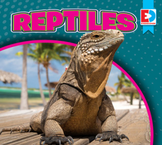Knjiga Reptiles Weigl