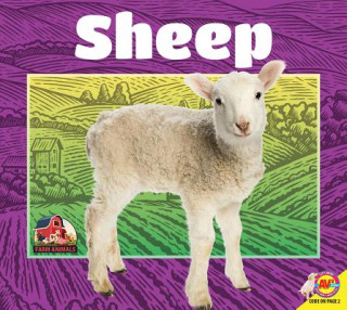 Libro Sheep Jared Siemens