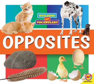 Libro Opposites Dayna Martin