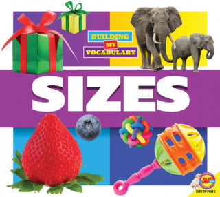 Knjiga Sizes Dayna Martin