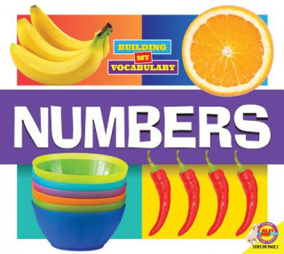 Knjiga Numbers Dayna Martin