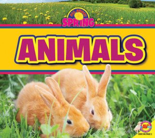 Carte Animals M. J. York