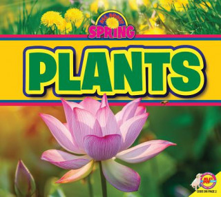 Libro Plants M. J. York