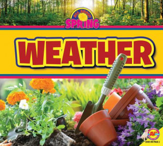 Livro Weather M. J. York