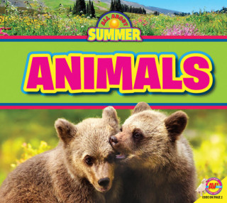 Boek Animals Maddie Spalding