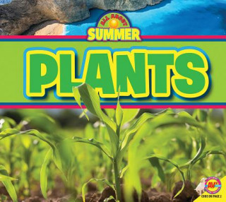 Книга Plants Maddie Spalding