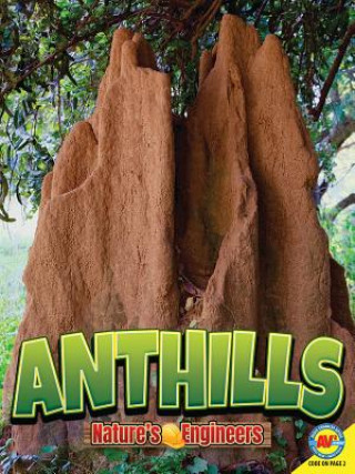 Könyv Anthills Christopher Forest