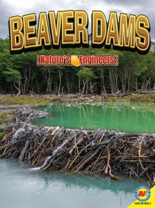 Книга Beaver Dams Nancy Furstinger