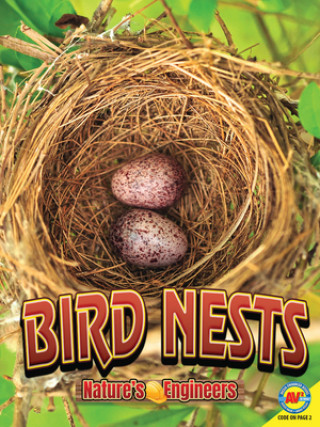Knjiga Bird Nests Stacy Tornio