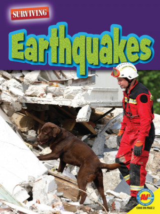 Libro Earthquakes Marne Ventura
