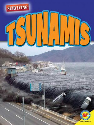 Libro Tsunamis Marne Ventura