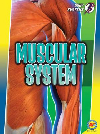 Książka Muscular System Simon Rose
