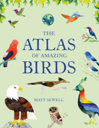 Kniha The Atlas of Amazing Birds: (Fun, Colorful Watercolor Paintings of Birds from Around the World with Unusual Facts, Ages 5-10, Perfect Gift for You Matt Sewell