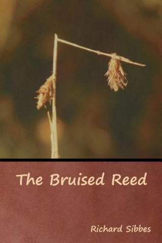 Kniha Bruised Reed Richard Sibbes