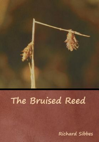 Książka Bruised Reed Richard Sibbes