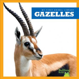 Carte Gazelles Penelope Nelson