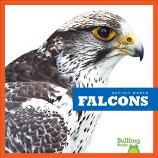 Carte Falcons Jenna Lee Gleisner