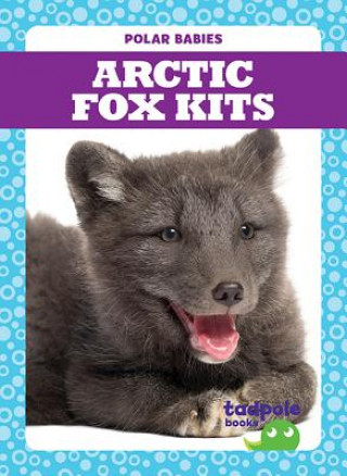 Kniha Arctic Fox Kits Genevieve Nilsen