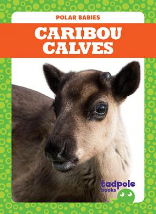 Kniha Caribou Calves Genevieve Nilsen