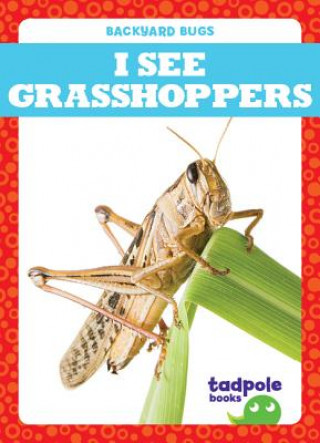 Βιβλίο I See Grasshoppers Genevieve Nilsen