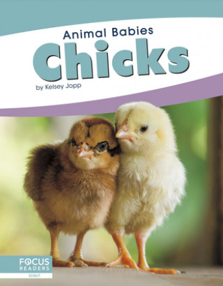 Kniha Animal Babies: Chicks Kelsey Jopp