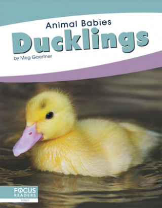 Book Animal Babies: Ducklings Meg Gaertner