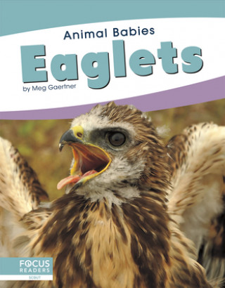 Buch Animal Babies: Eaglets Meg Gaertner