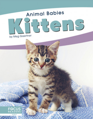 Knjiga Animal Babies: Kittens Meg Gaertner