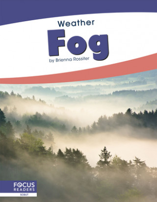 Book Weather: Fog Brienna Rossiter