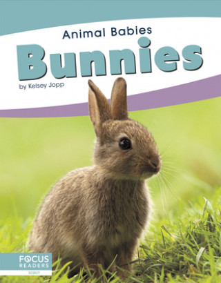 Libro Animal Babies: Bunnies Kelsey Jopp