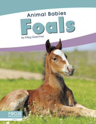 Knjiga Animal Babies: Foals Meg Gaertner