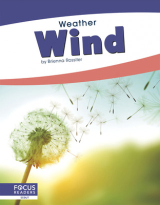 Knjiga Weather: Wind Brienna Rossiter