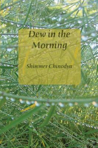 Knjiga Dew in the Morning Shimmer Chinodya