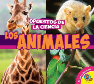 Boek Los Animales John Willis