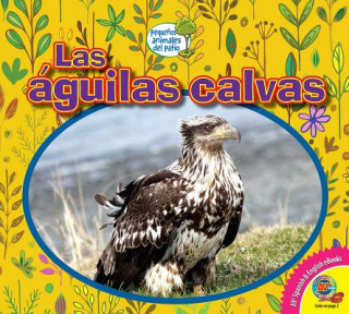 Knjiga Las Águilas Calvas Heather Kissock