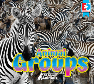 Buch All about Animals - Animal Groups Weigl