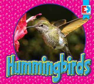 Carte Hummingbirds Weigl