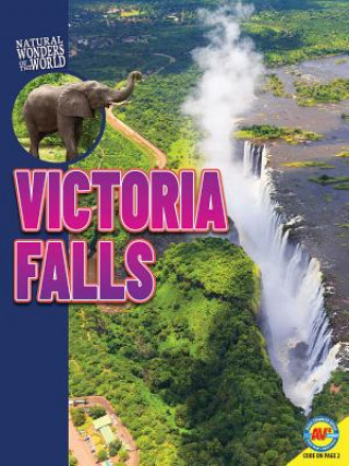 Książka Victoria Falls Anna Rebus