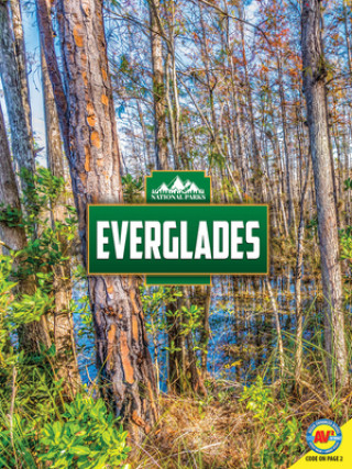 Libro Everglades Nancy Furstinger