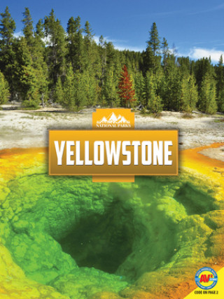 Könyv Yellowstone Weigl