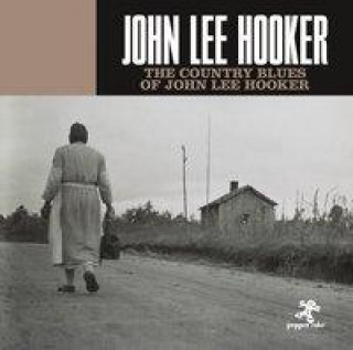 Аудио The Country Blues Of John Lee Hooker John Lee Hooker