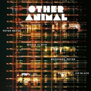 Audio Other Animal Other Animal