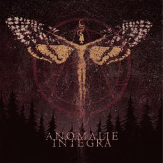 Audio Integra Anomalie