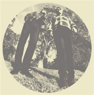 Аудио Hair Ty & White Fence Segall