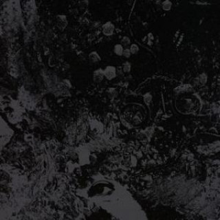 Zvok Split Primitive Man/Unearthly Trance