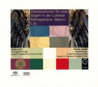 Audio Improvisationen für zwei Orgeln Jürgen/Joseph Essl