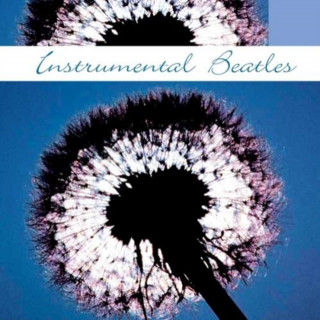 Audio Instrumental The Beatles The Instrumental/Beatles