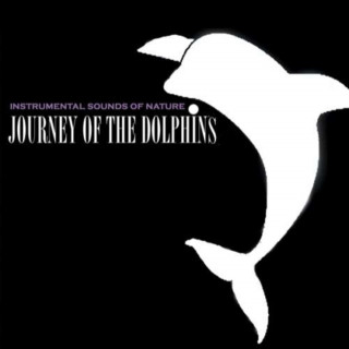 Audio Joruney Of The Dolphins Instrumental Sounds Of Nature