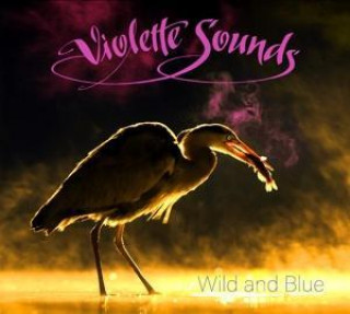 Zvok Wild And Blue Violette Sounds
