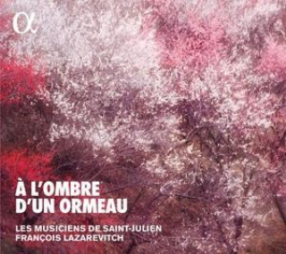 Hanganyagok A l'Ombre d'un Ormeau-Brunettes et Contredanses F. /Les Musiciens de Saint-Julien Lazarevitch